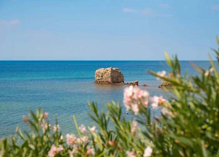 Sunny Epta ハニオティス