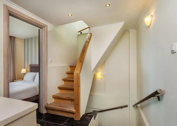 Sunny Epta * ハニオティス