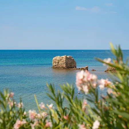 Sunny Epta Chaniotis